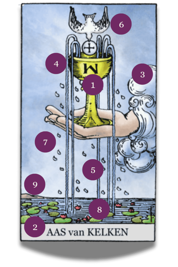 TaroPedia - Bokalen aas