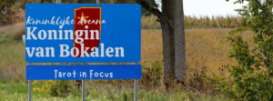 Tarot in Focus Bokalenkoningin