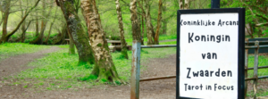 Tarot in Focus Zwaardenkoningin