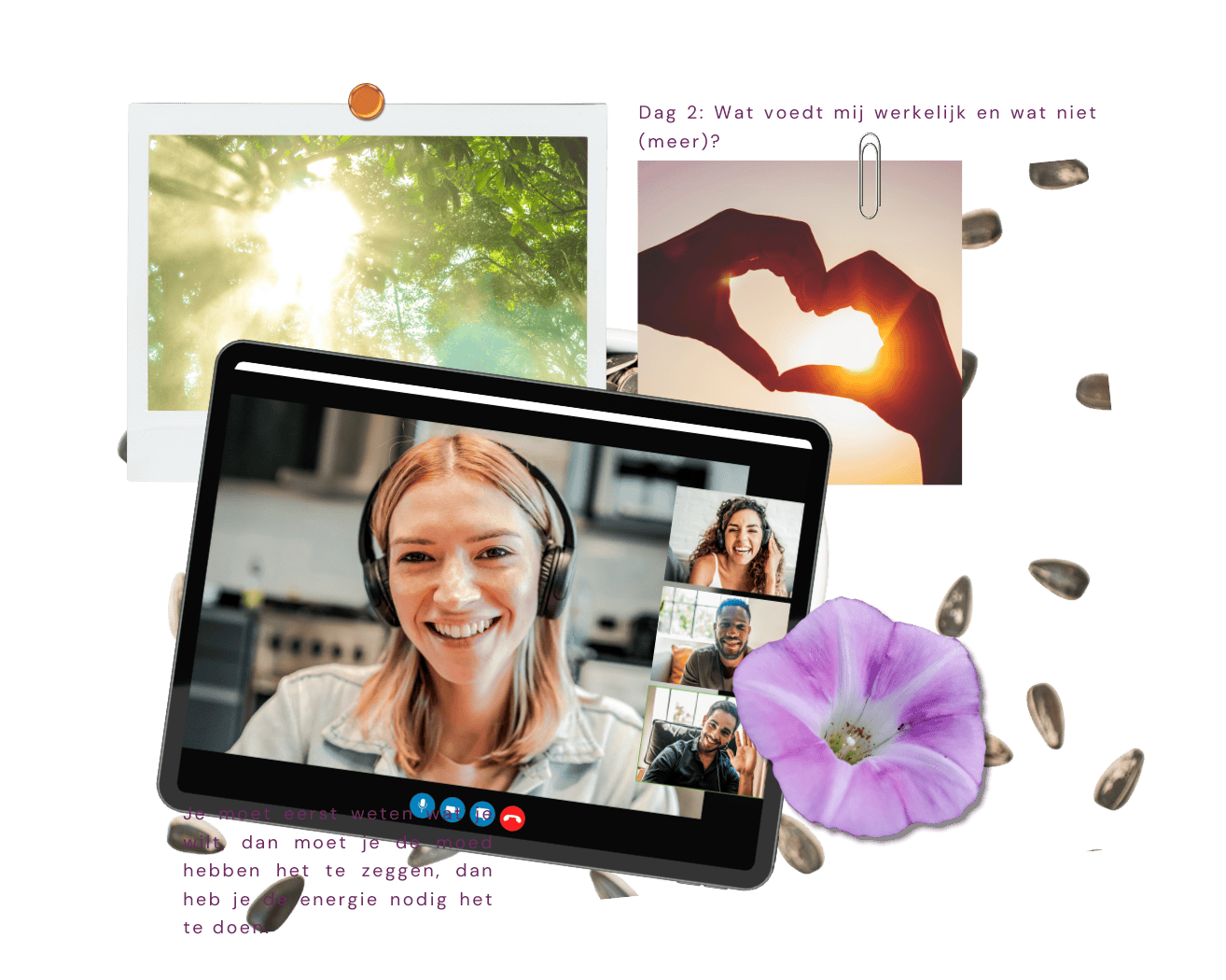 Zon deep dive LP afb2